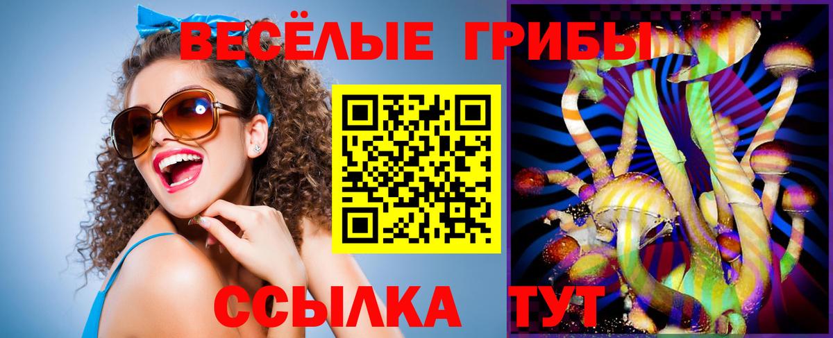 Дмитров  Псилоцибиновые грибы GOLDEN TEACHER  Вход с VPN 